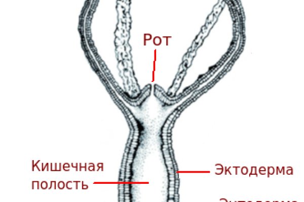 Кракен даркнет в тор